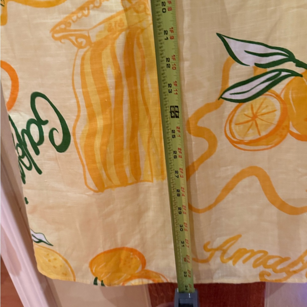 Sabo Skirt Citrus Print Midi Skirt - Picture 4 of 9